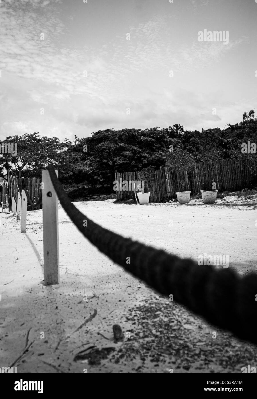 Führende Linien in Jamaika Stockfoto