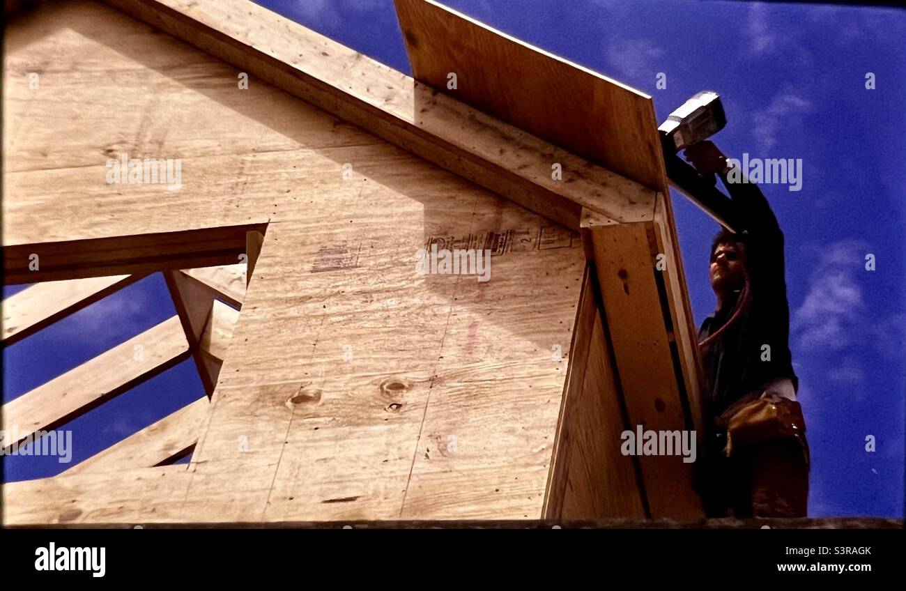 Bauarbeiter mit Holz, das auf dem Dach des neuen Hauses arbeitet Stockfoto