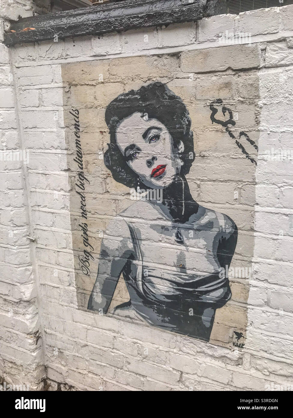 Marilyn Monroe Street Art, Highgate, London Stockfoto