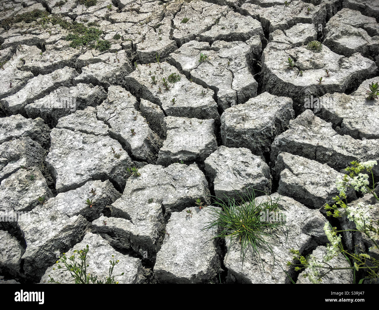 Trockener rissiger Schlamm - Smartphone-aufgenommenes Stockfoto