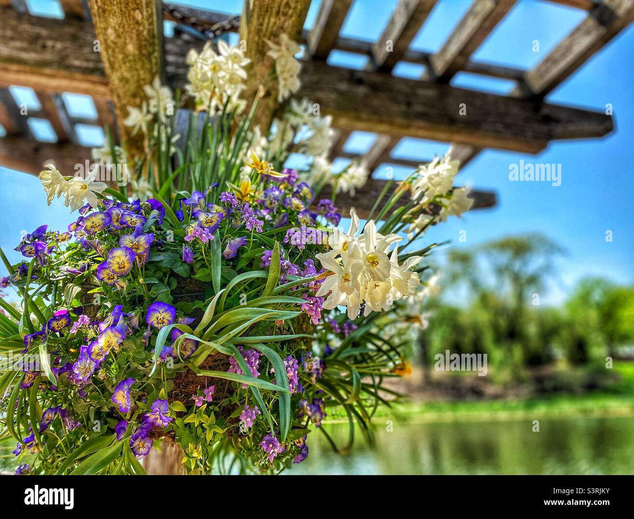 Hängenden blumen Fotos und Bildmaterial in hoher Auflösung Seite 2