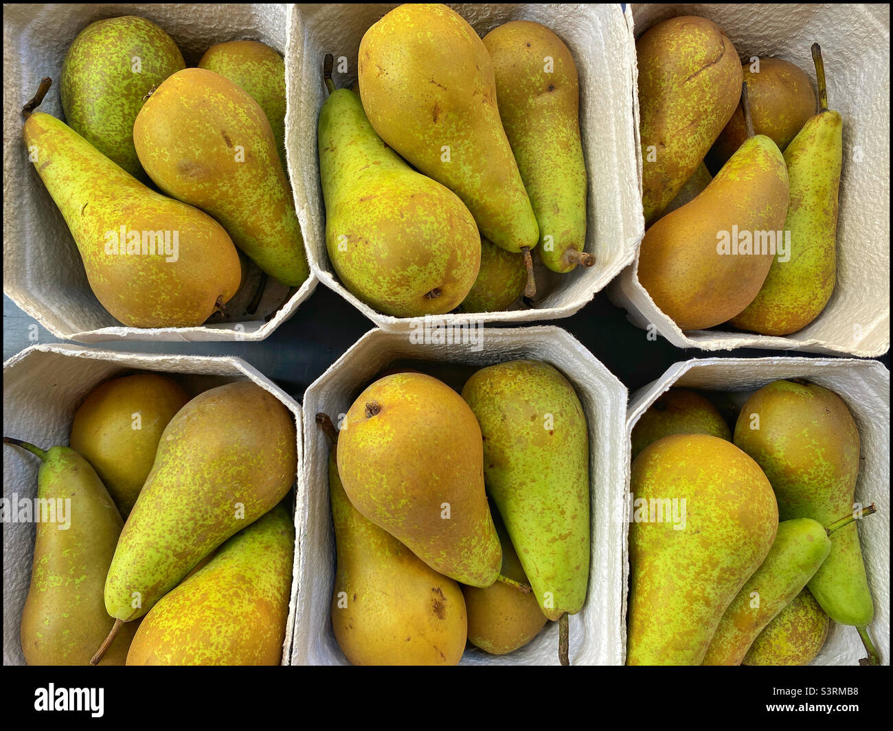 Ein Blick von oben auf Wannen oder Pölpel von Conference Pears. Gesund, nahrhaft und lecker, sind diese Früchte ein wesentlicher Bestandteil für ein gesundes und leckeres Leben. Foto ©️ COLIN HOSKINS. - Smartphone-aufgenommenes Stockfoto