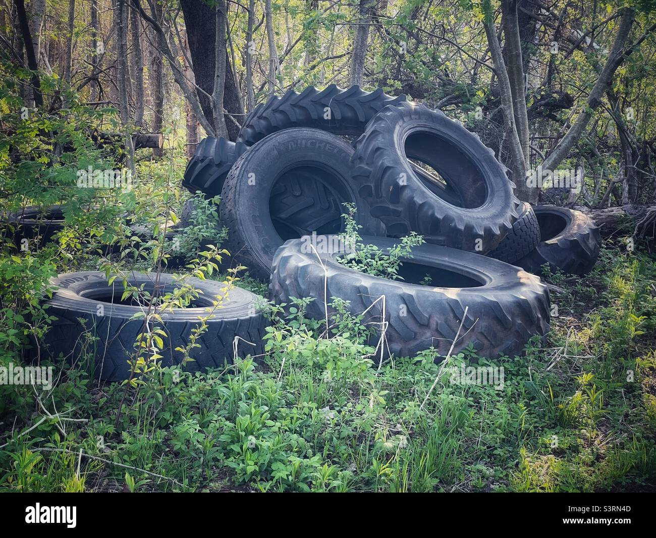 Alte Traktorreifen, die im Wald weggeworfen wurden. Stockfoto