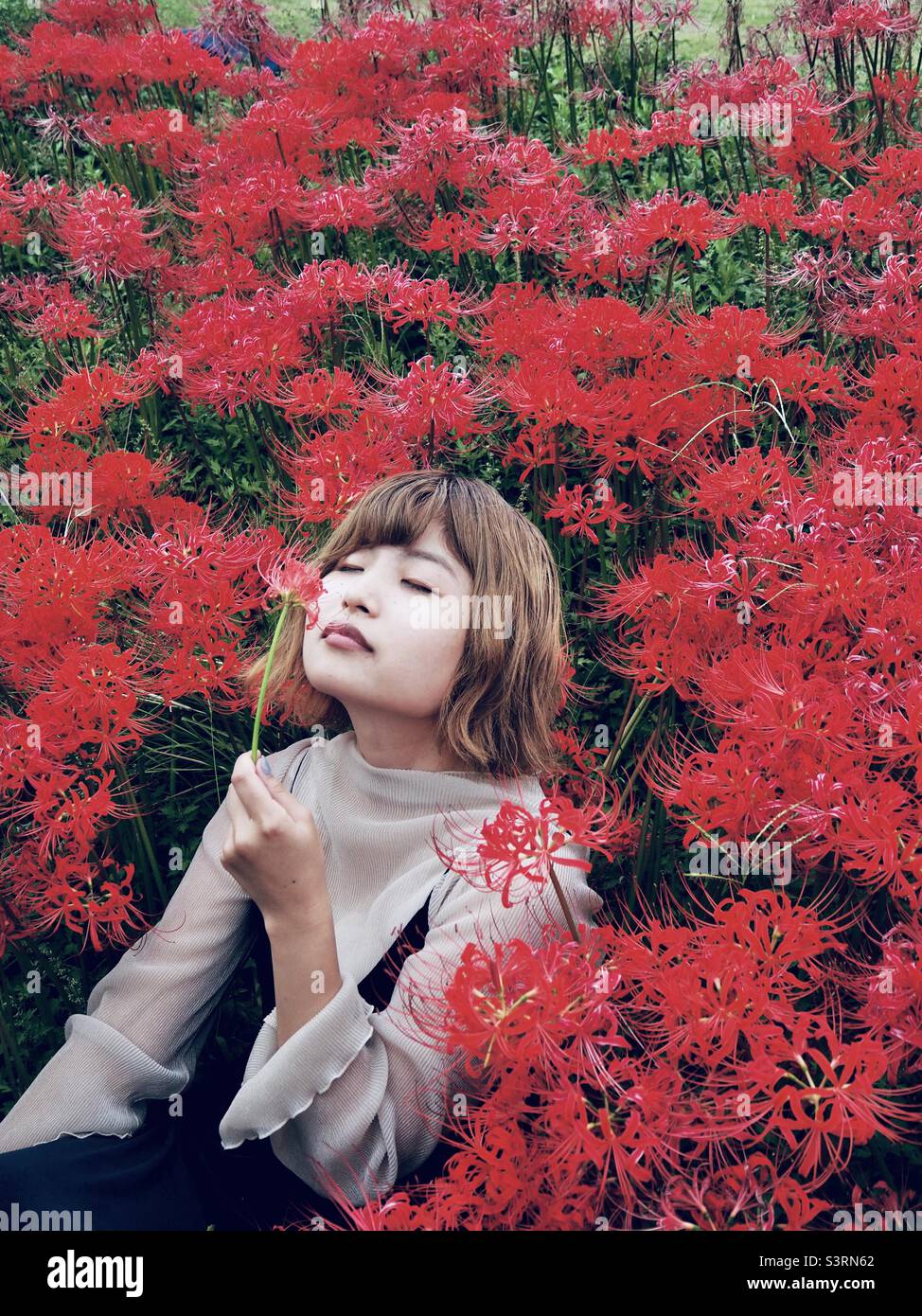 Japanisches Mädchen riecht die rote Blume Stockfoto