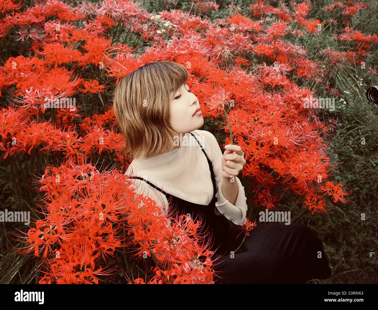 Japanisches Mädchen riecht die Blume Stockfoto