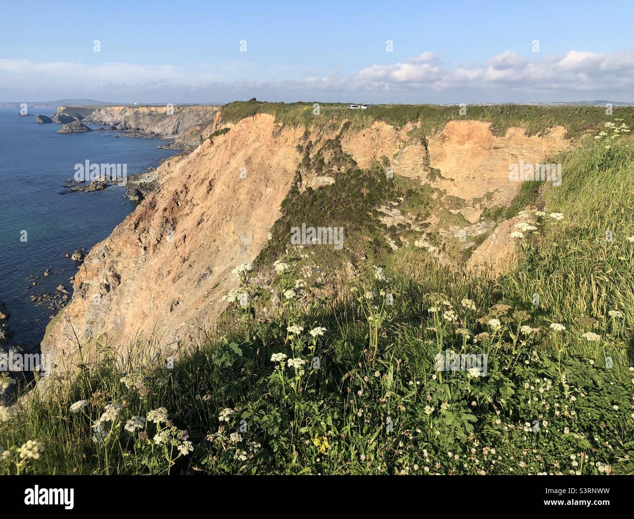 North Cliffs, Cornwall Stockfoto