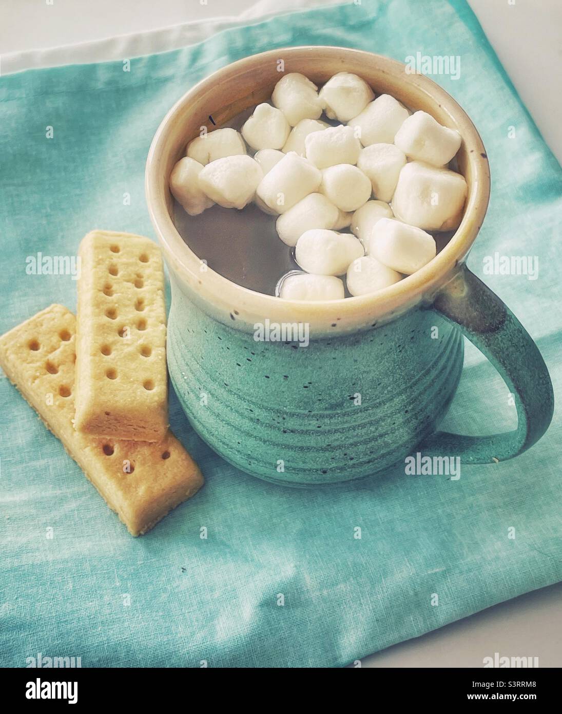 Tasse heiße Schokolade mit Salmmil und ein paar Keksen. Stockfoto
