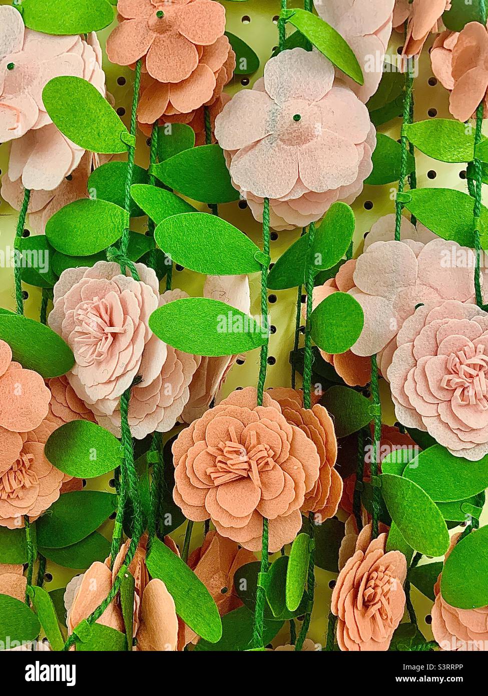 Hängende rosa Blumen zeigen Stockfoto