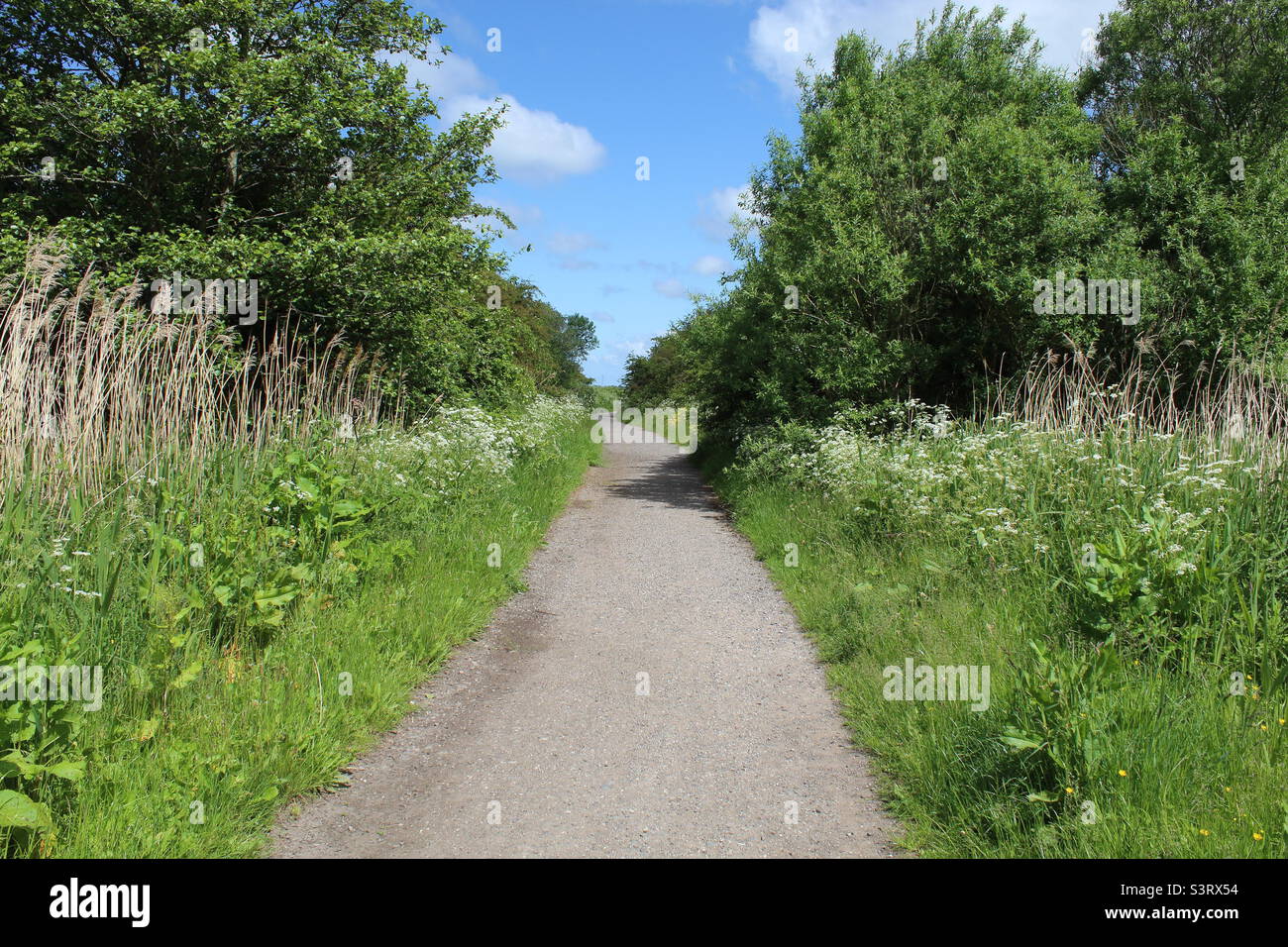 Ein sonniger Weg in einem Naturschutzgebiet in Lunt. Der Weg ist von Bäumen und Laub auf beiden Seiten mit einem blauen Himmel Hintergrund umgeben Stockfoto