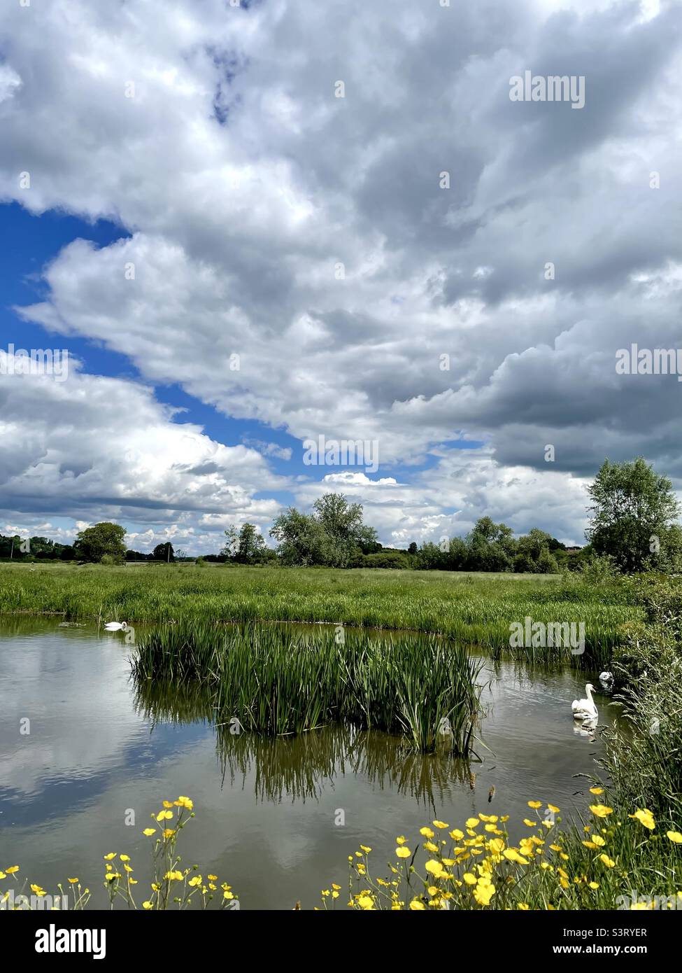 Ein gewundener Fluss in Devon Stockfoto