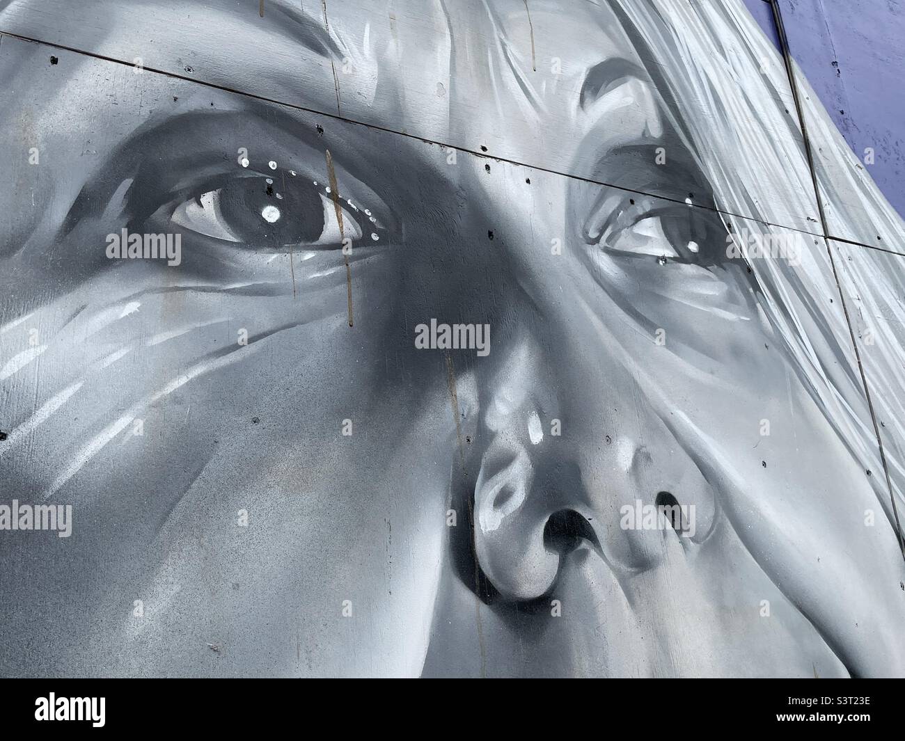Ein verzerrtes Bild des Gesichts einer Frau, Teil eines handgemalten Posters im Zentrum von Worcester, Großbritannien Stockfoto