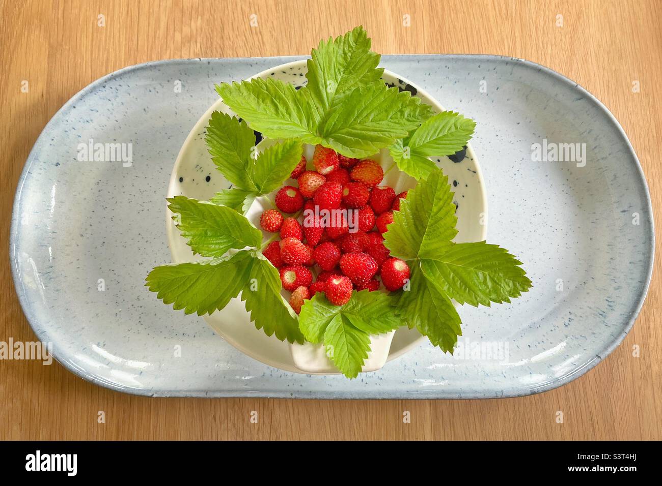 Frisch gepflückte Erdbeeren in einem Gericht Stockfoto