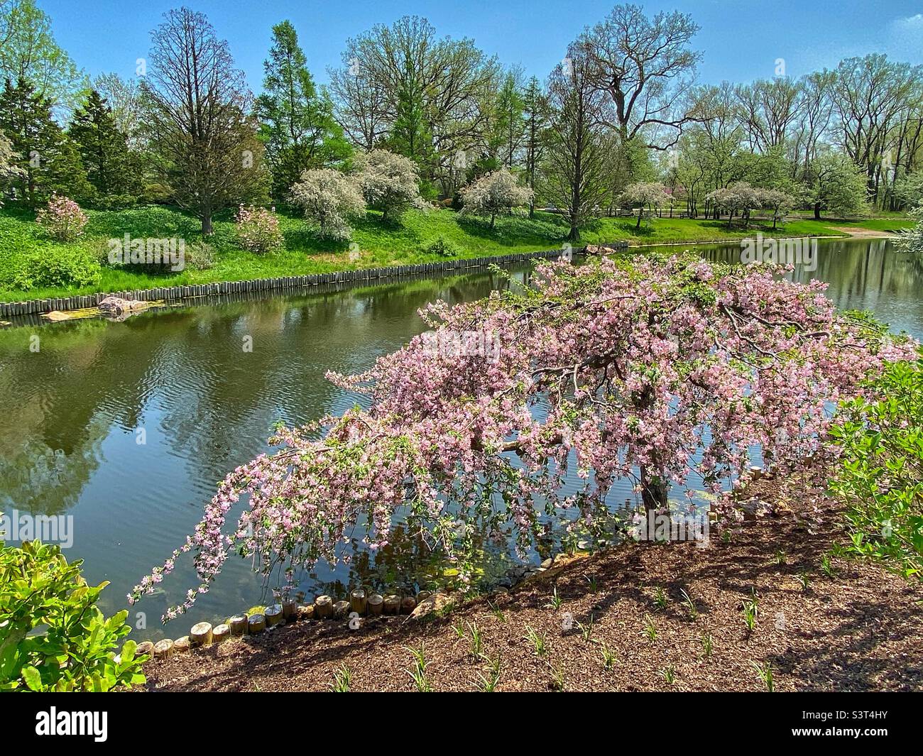 Japanischer Garten mit Teich Stockfoto