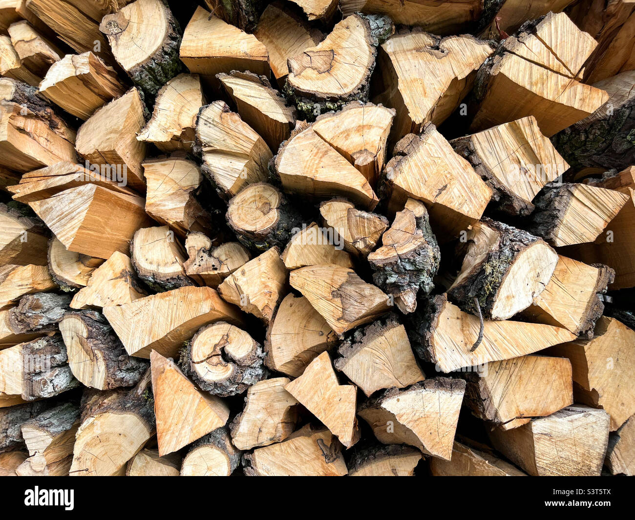 Hintergrund eines Stapels gehackter Kirschbäume, die übereinander liegen. Textur von gehackten Kirschstämmen - Smartphone-aufgenommenes Stockfoto