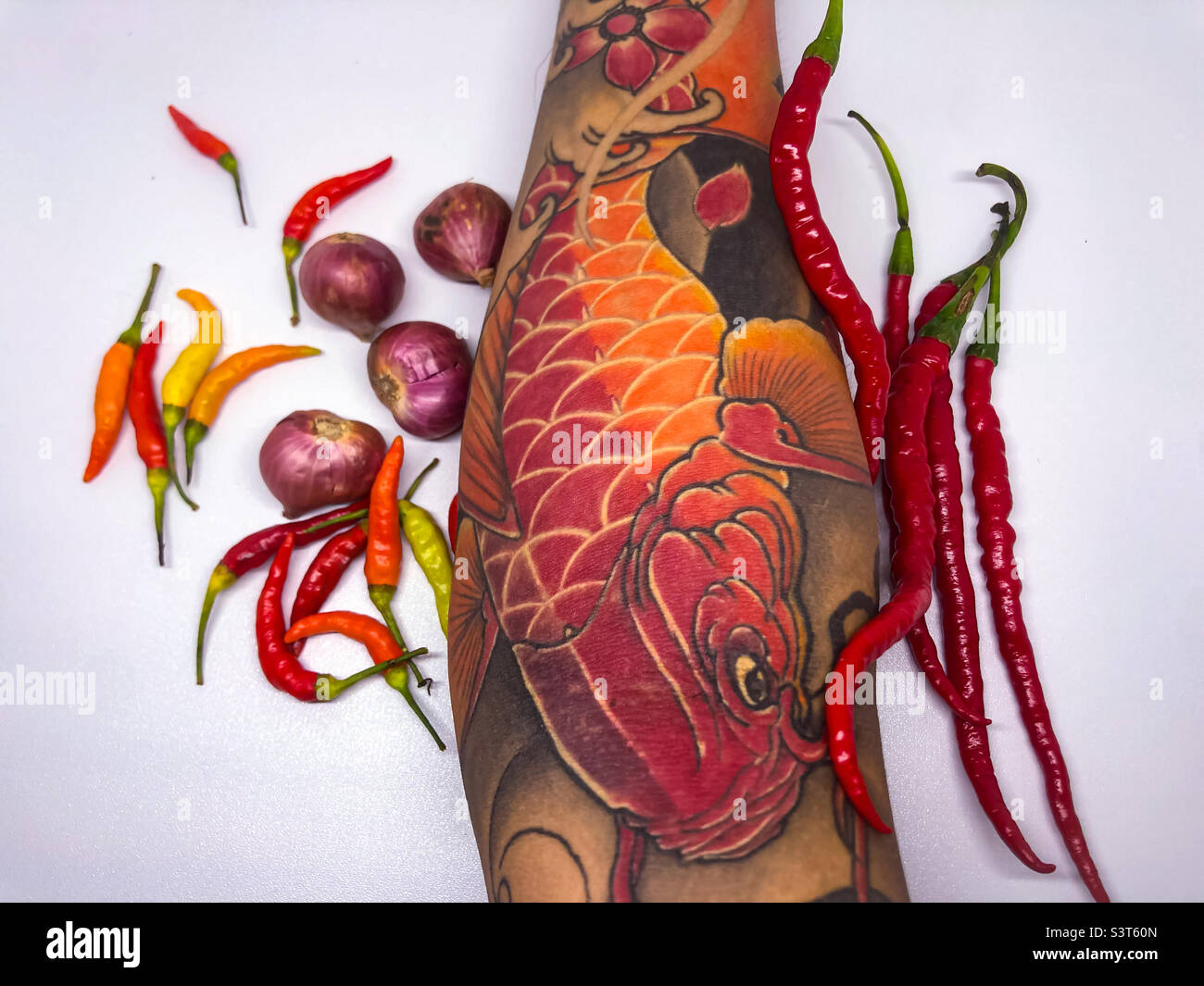 Können wir Koi-Fisch-Tattoos mit minimalen Gewürzen kochen Stockfoto