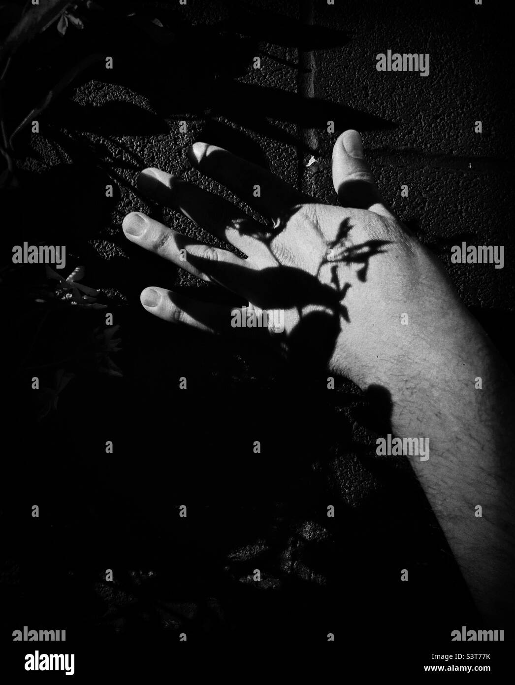 Kontrastreiche Schwarz-Weiß-Darstellung der Hand einer Person vor schwarzem Hintergrund Stockfoto