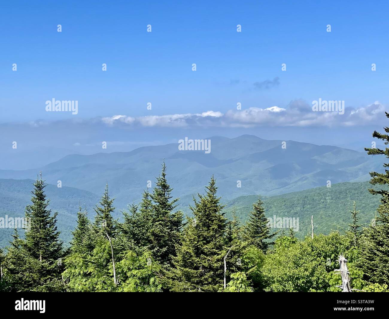 Blick vom Parkplatz des Clingmans Dome im Great Smoky Mountains National Park, Tennessee Stockfoto