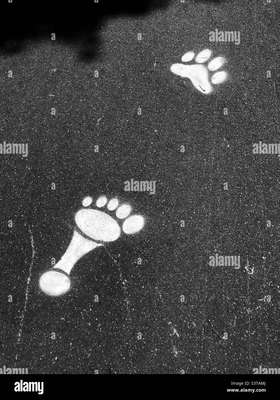 Fußabdrücke mit Schablonen und Pfotendruck Stockfoto