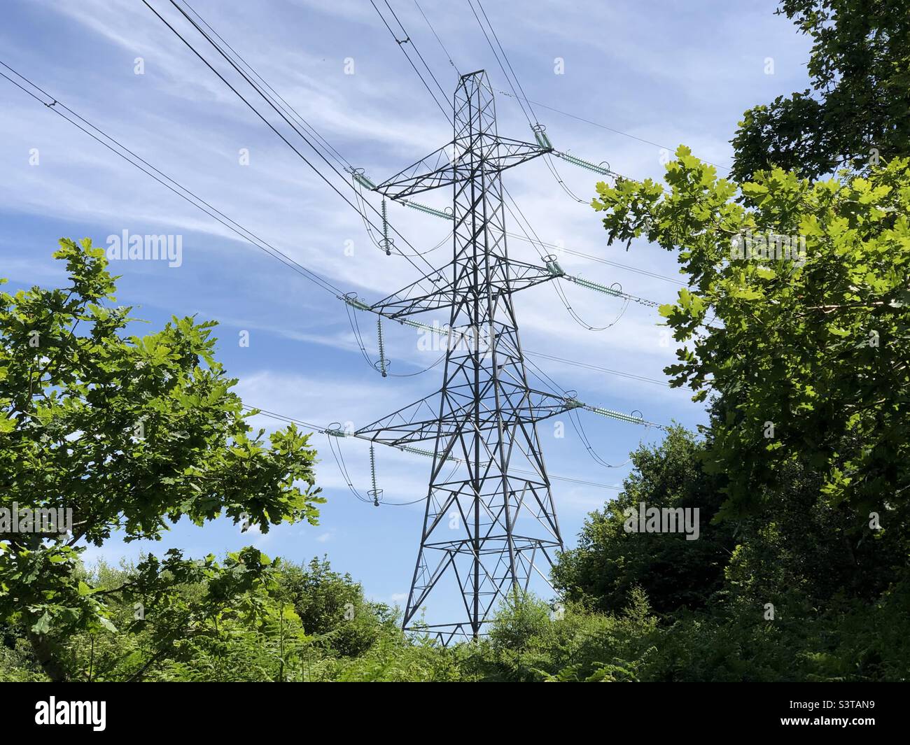 Strom Pylon Struktur in Wäldern an einem sonnigen blauen Himmel Tag Stockfoto