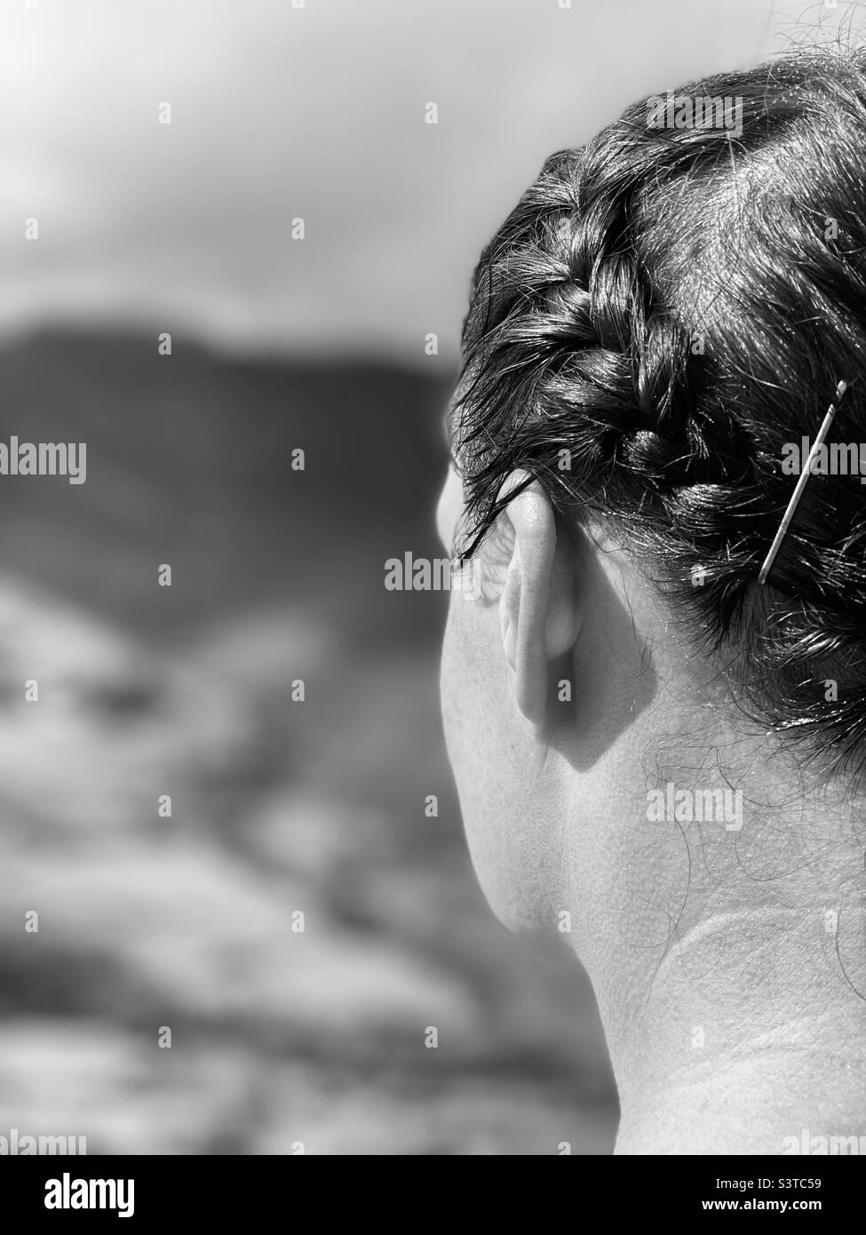 Rückansicht einer Frau mit geflochtenen Haaren Stockfoto