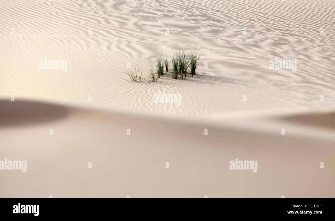 Minimalistische Wüstenlandschaft in den Vereinigten Arabischen Emiraten Stockfoto