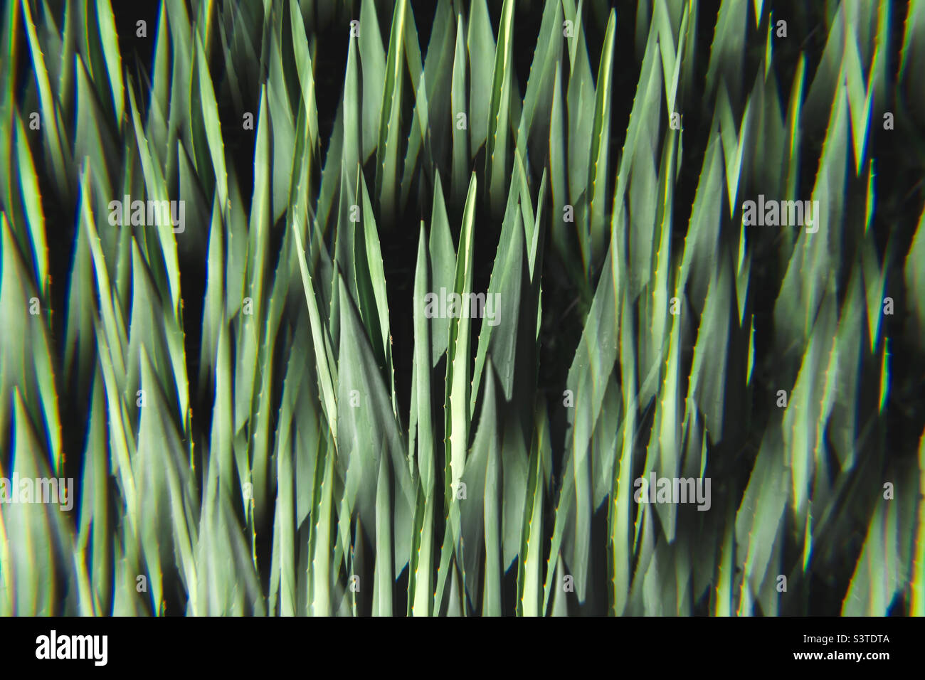 Grünes Gras Kaleidoskop kreativen Hintergrund - Smartphone-aufgenommenes Stockfoto