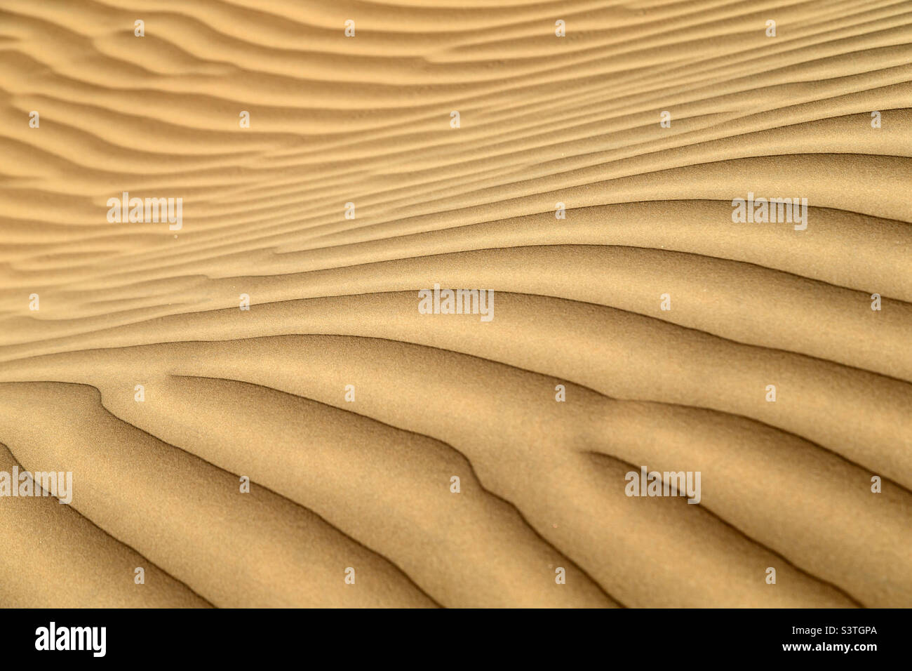 Natürliche Hintergrundstruktur der Wüstensanddüne Stockfoto