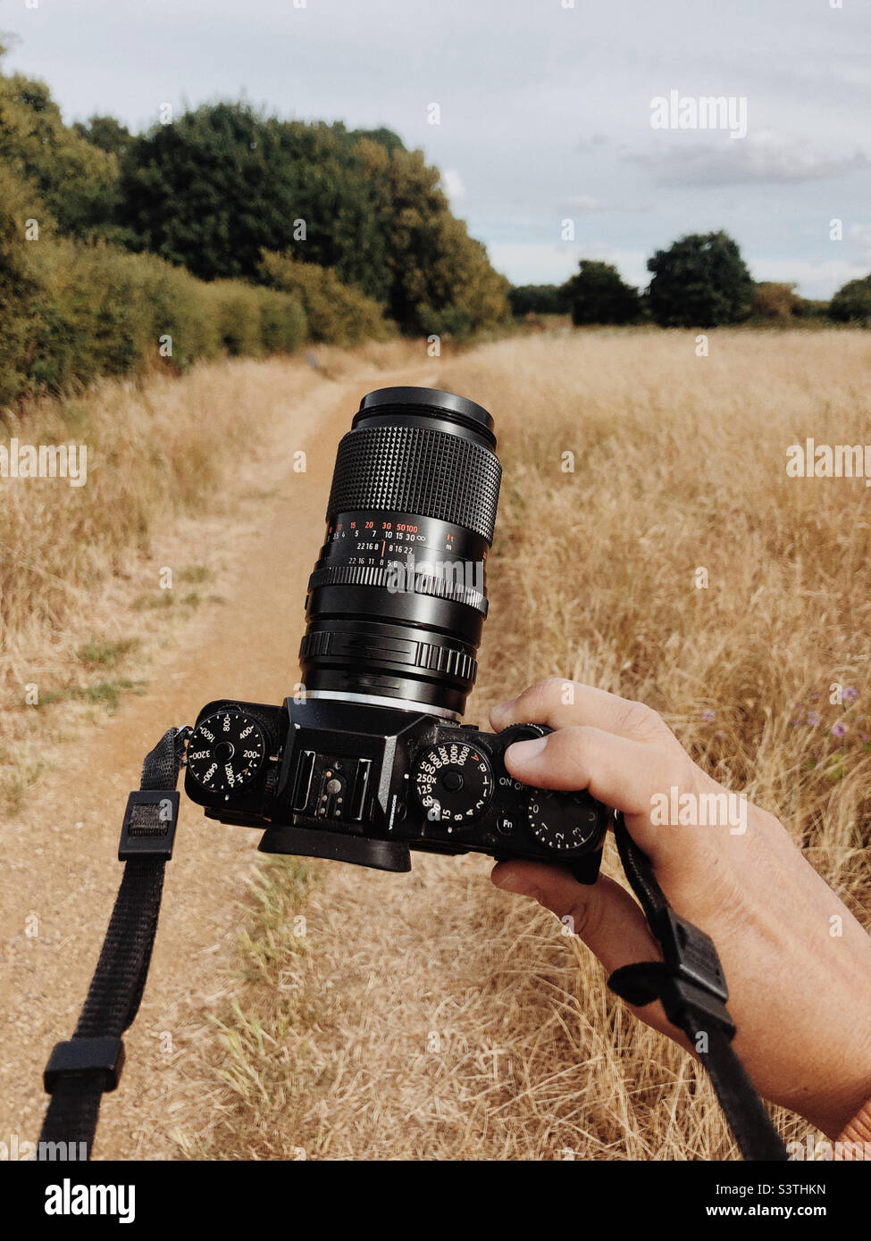 Fotografie in der Natur - Smartphone-aufgenommenes Stockfoto