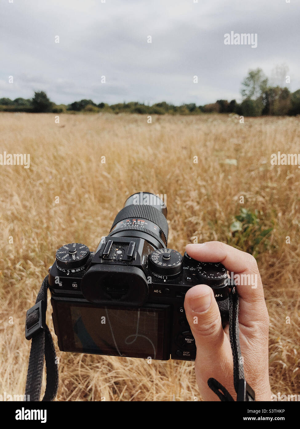 Fotograf in der Natur - Smartphone-aufgenommenes Stockfoto