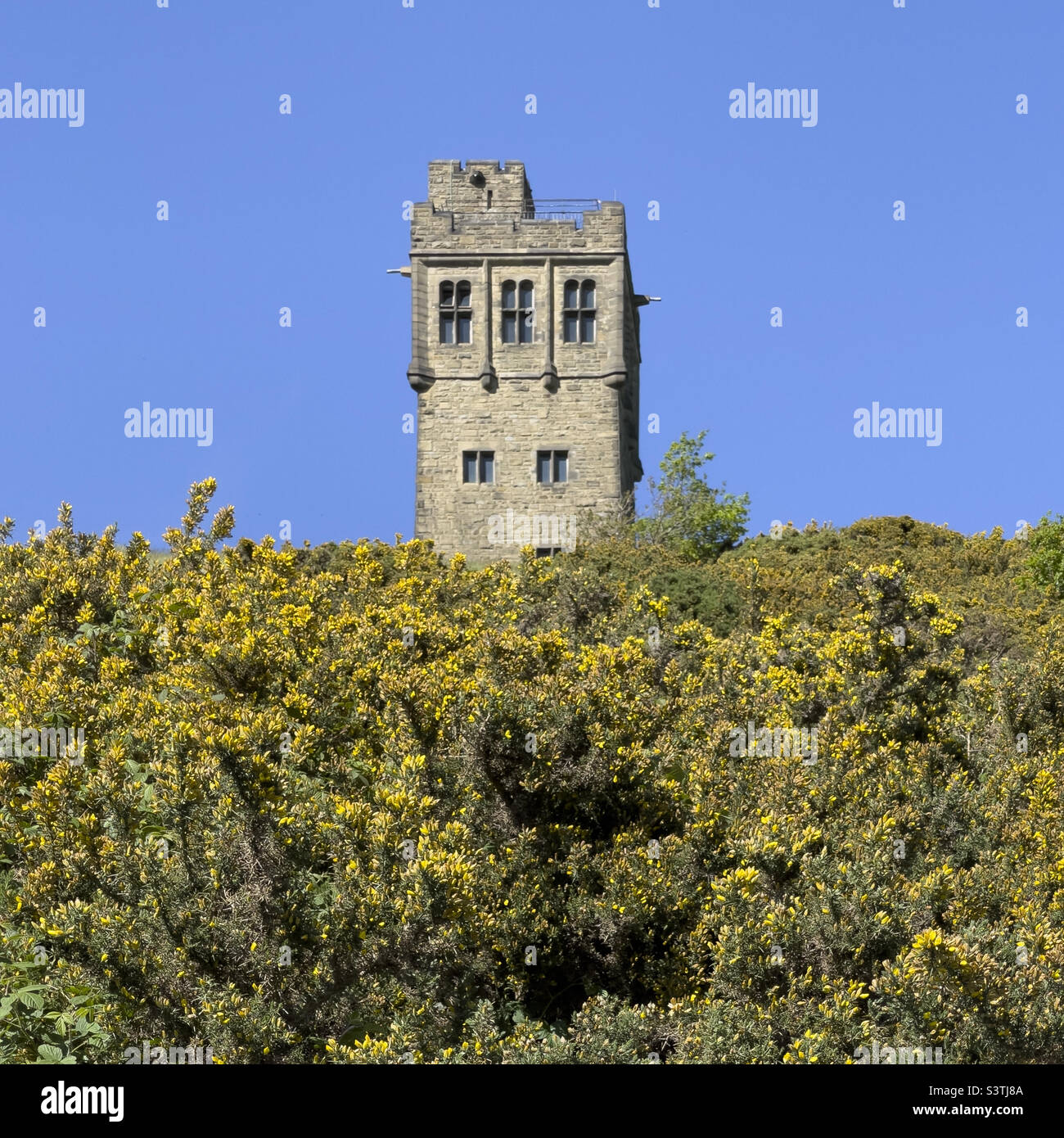 Victoria Tower, Castle Hill. Huddersfield. West Yorkshire. - Smartphone-aufgenommenes Stockfoto