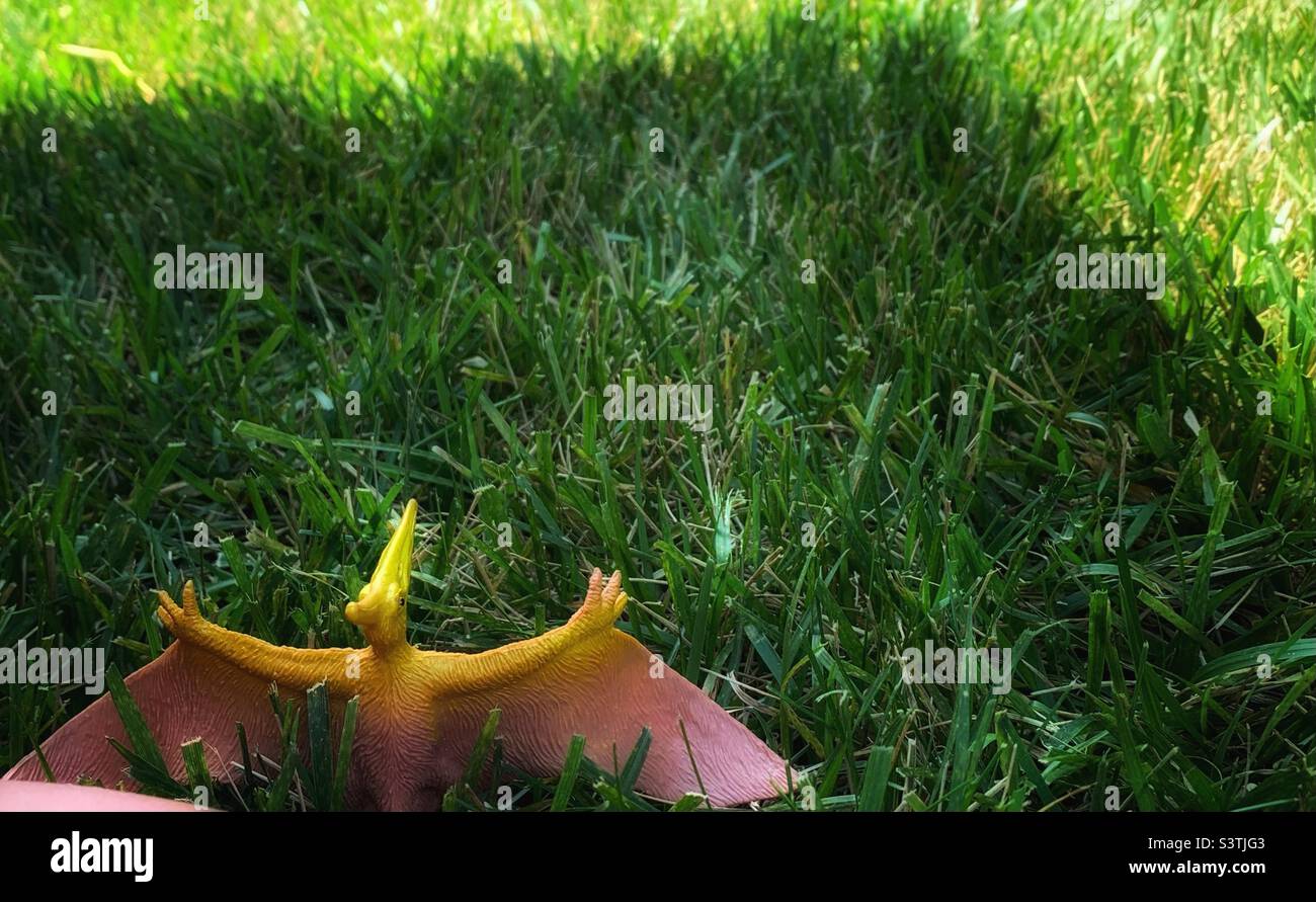 Dinosaurier-Spielzeug im Gras Stockfoto