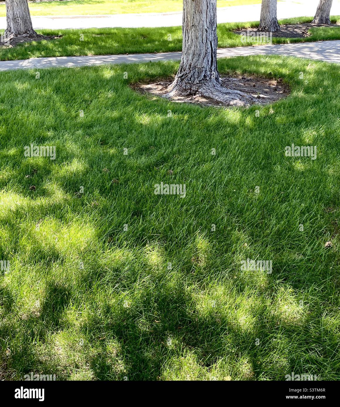 Im Sommer ein ungewöhnlicher, schräg abgewinkelter Blick auf das Gelände einer örtlichen Kirche in Utah, USA. Stockfoto