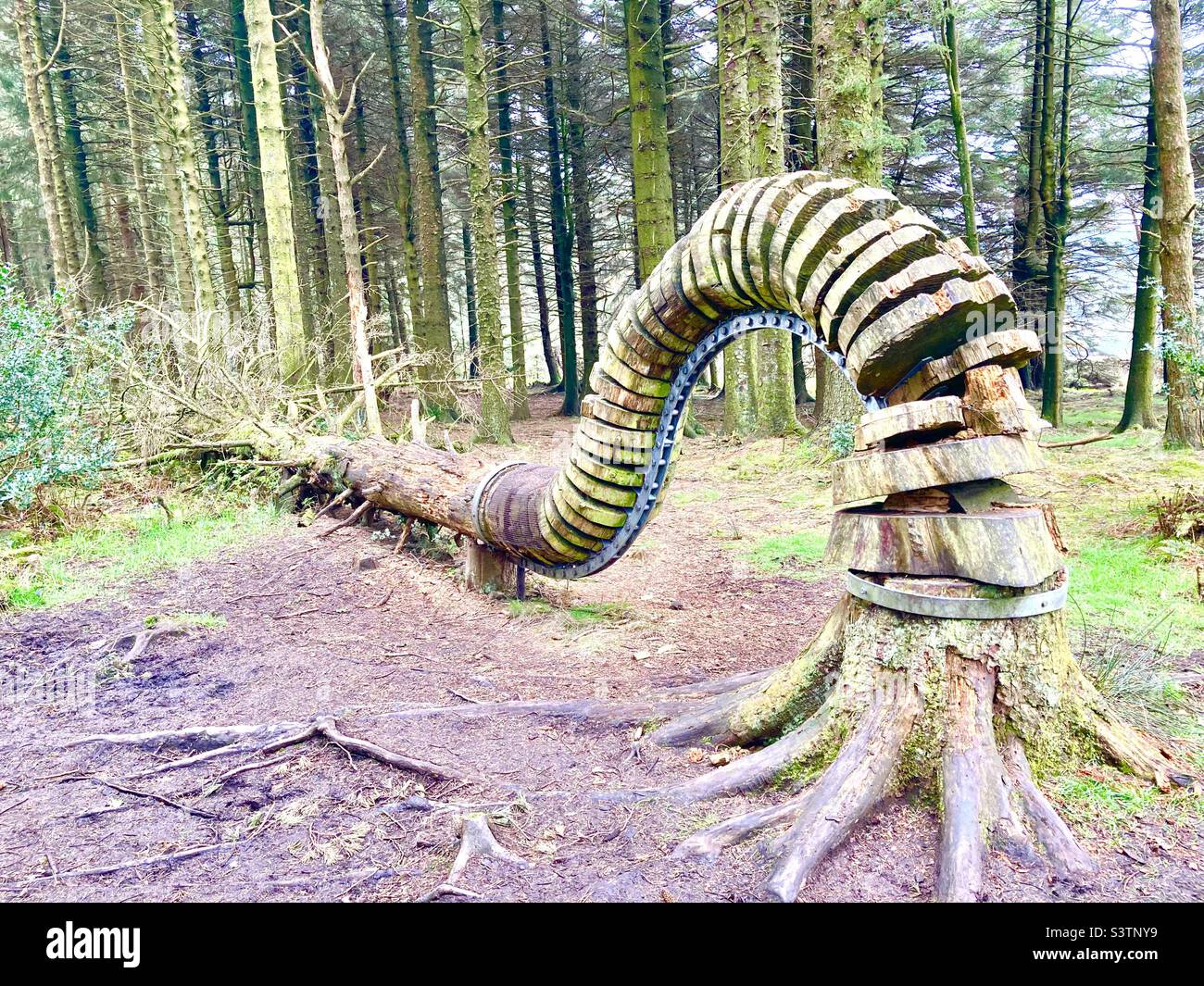 Arty Tree / Bendy Tree - Smartphone-aufgenommenes Stockfoto