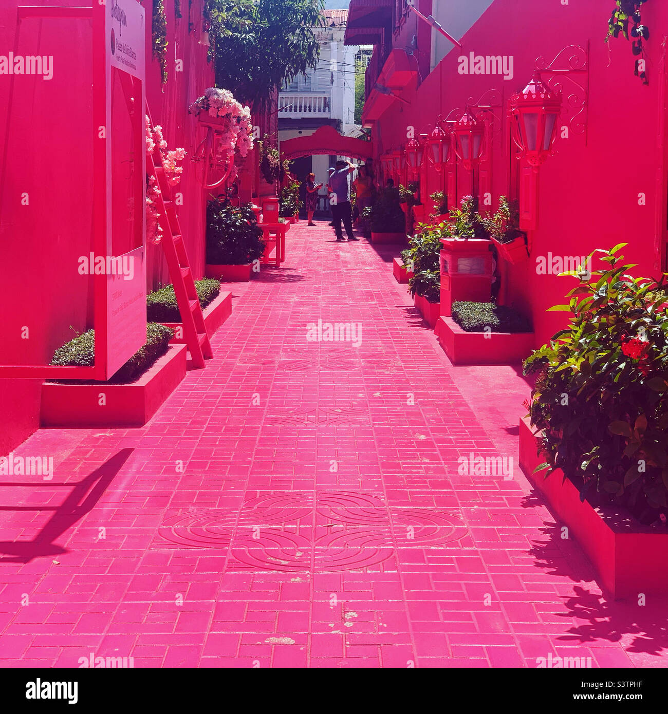 Passeig de dona blanca Fotos und Bildmaterial in hoher Auflösung Alamy