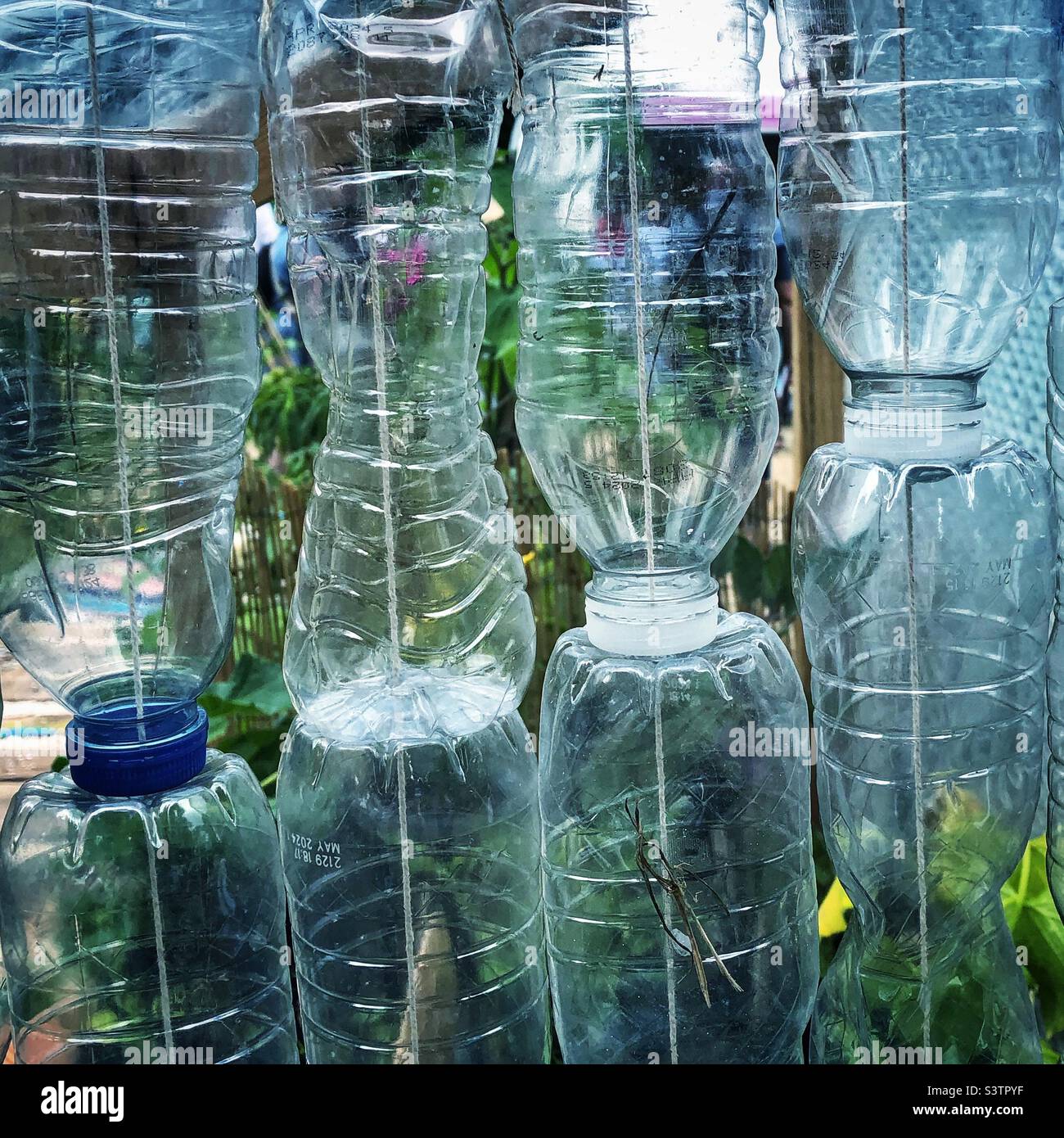 Gewächshaus aus recycelten Flaschen Stockfoto