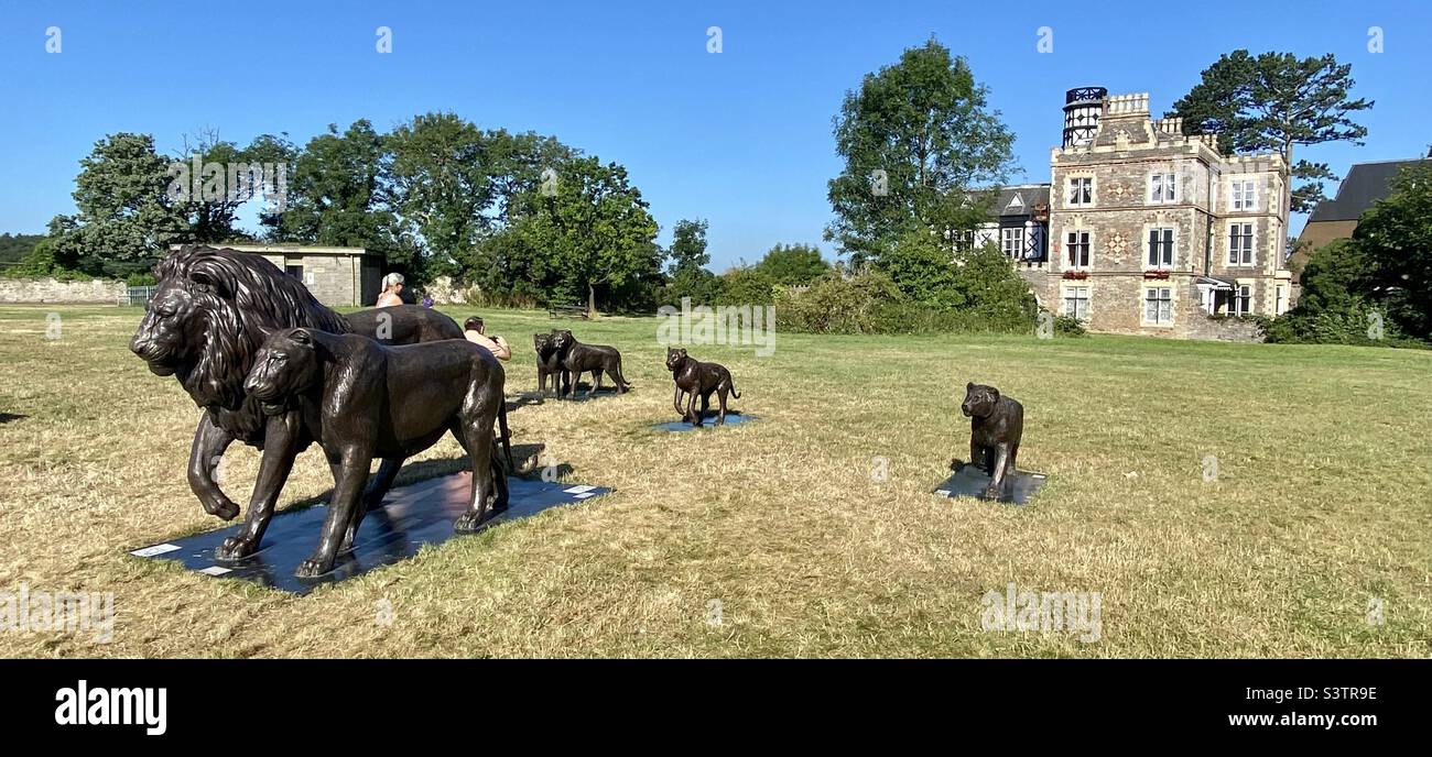 Geboren kostenlose Foundation Lion Skulpturen in Clifton Downs bristol. Stockfoto