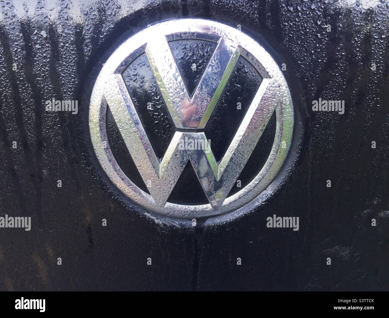 Ein VW-Logo mit Tau-Perlen bedeckt, Kanada. Die Verschönerung der Natur für ein vom Menschen geschafftes Objekt. Stockfoto