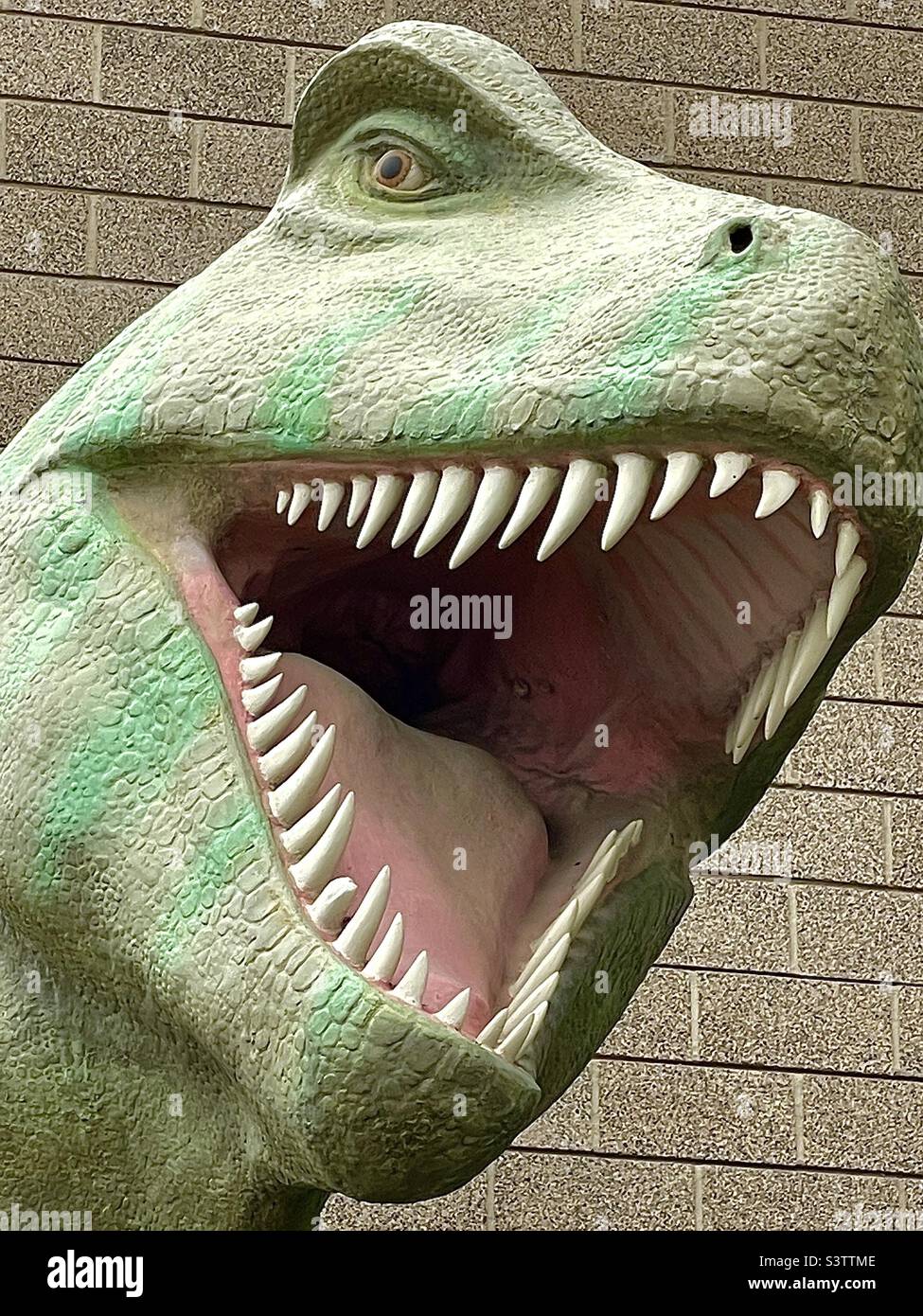 Diese Nahaufnahme des Kopfes einer großen T-Rex-Statue im Innenhof des Museums, aufgenommen im Dinosaur Museum in Vernal, Utah, USA, ist ziemlich beängstigend und einschüchternd. - Smartphone-aufgenommenes Stockfoto