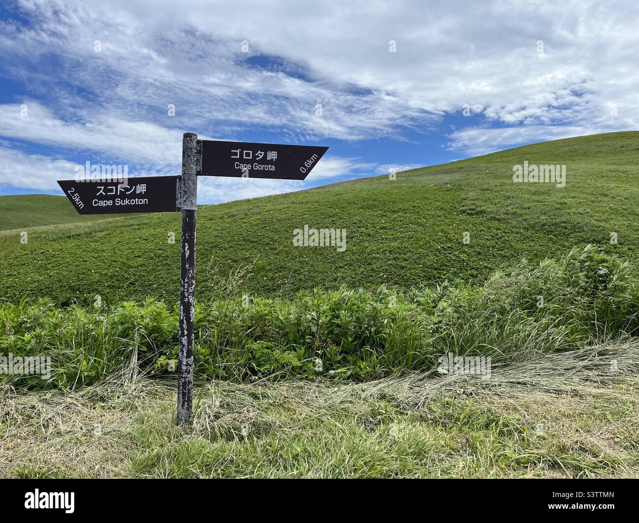 Zweisprachiger japanischer und englischer Wegweiser entlang eines Wanderweges. - Smartphone-aufgenommenes Stockfoto