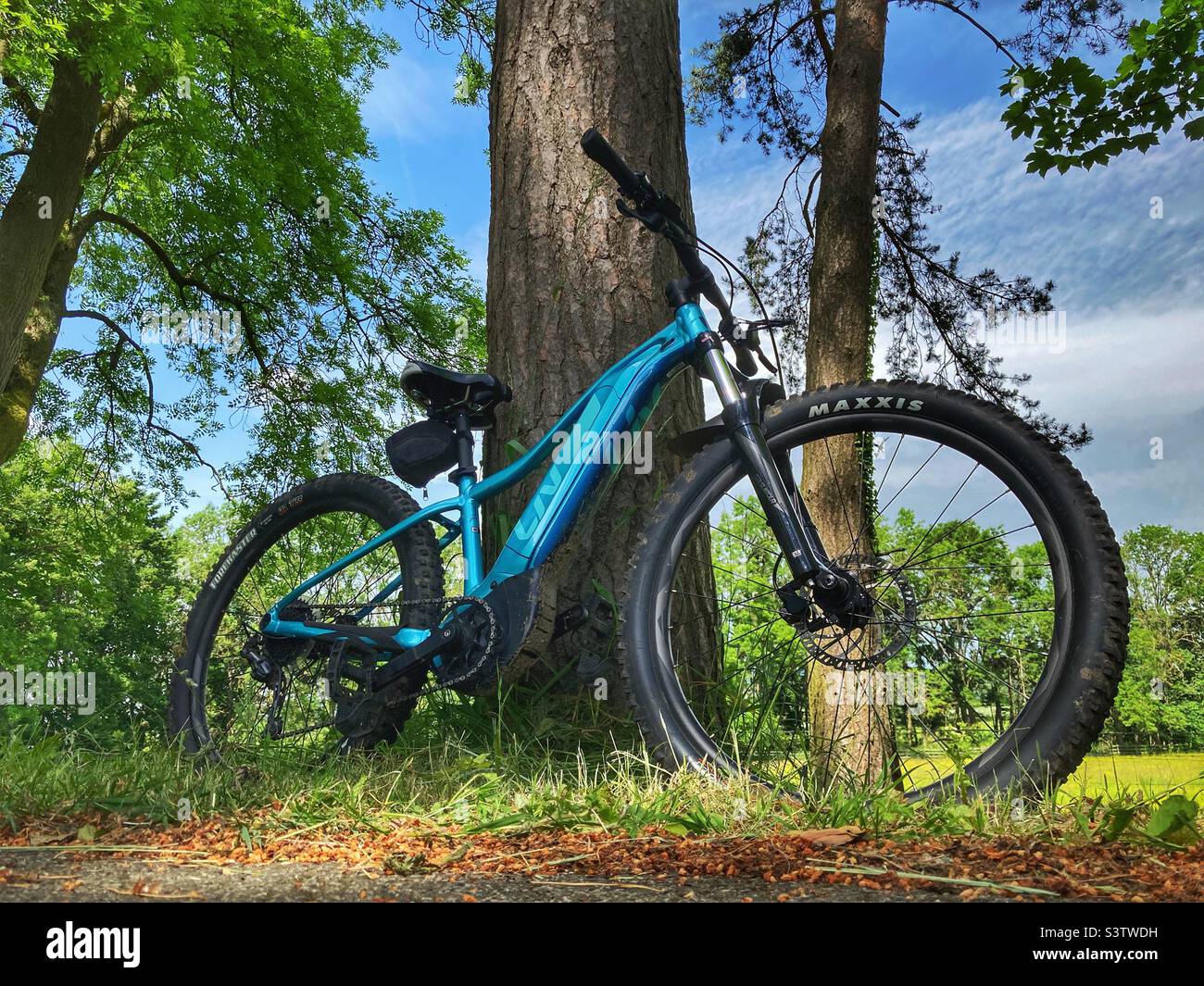 Liv E-Bike für Damen im Wald Stockfoto