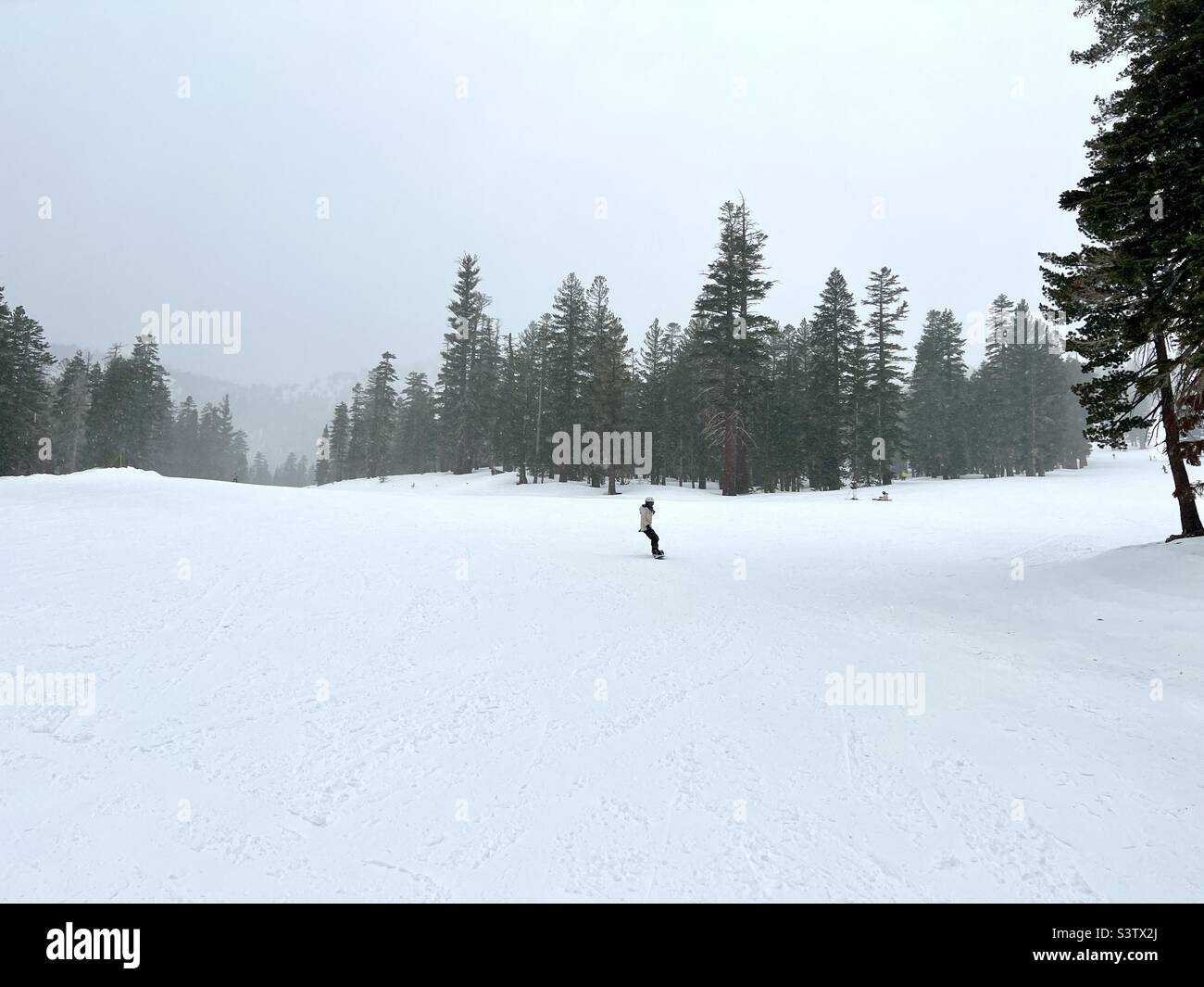 Weite Skipisten am Mammoth Mountain, Kalifornien, mit anonymer Snowboarderin auf dem Weg bergab. Bewölktes Wetter Stockfoto