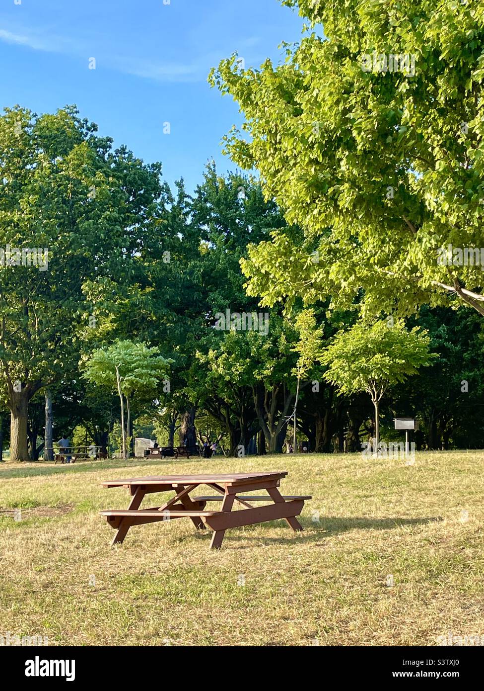 Ein leerer Picknicktisch in einer großen Rasenfläche mit Bäumen in einem Park Stockfoto