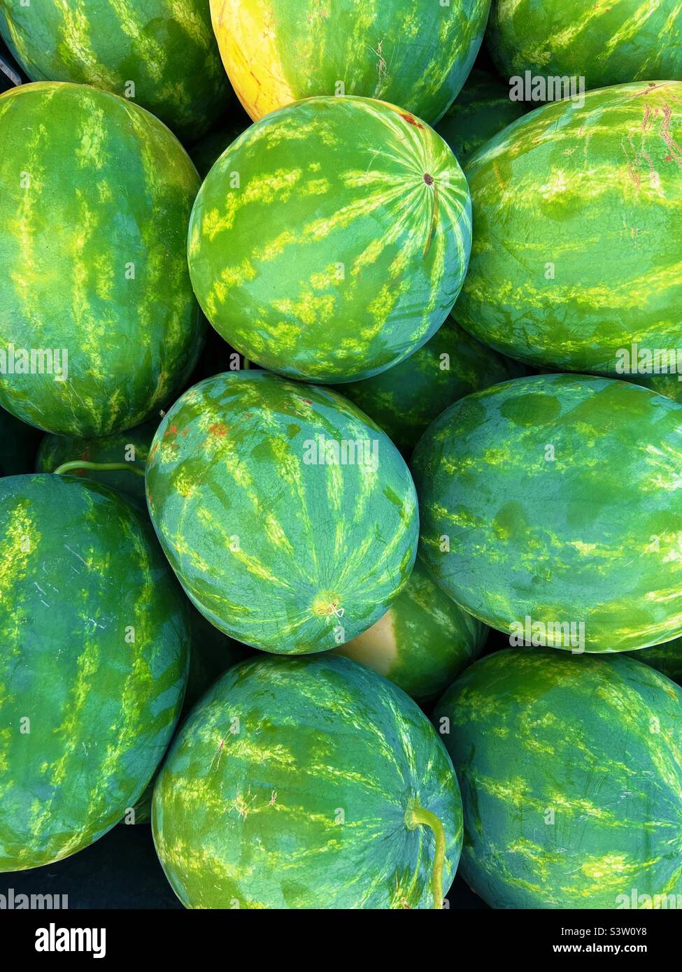 Wassermelonen grün, gesund, Markt, Früchte Stockfoto