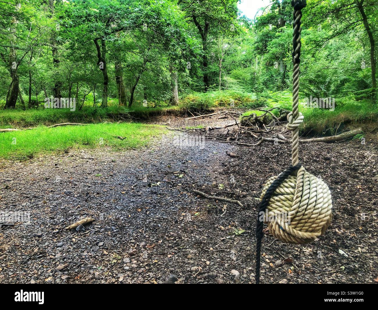 Schwingen Sie sich über ausgetrocknetes Dampfbett „Flechs Water“ in einer Dürre, New Forest National Park Hampshire Großbritannien. Juli 2022 - Smartphone-aufgenommenes Stockfoto