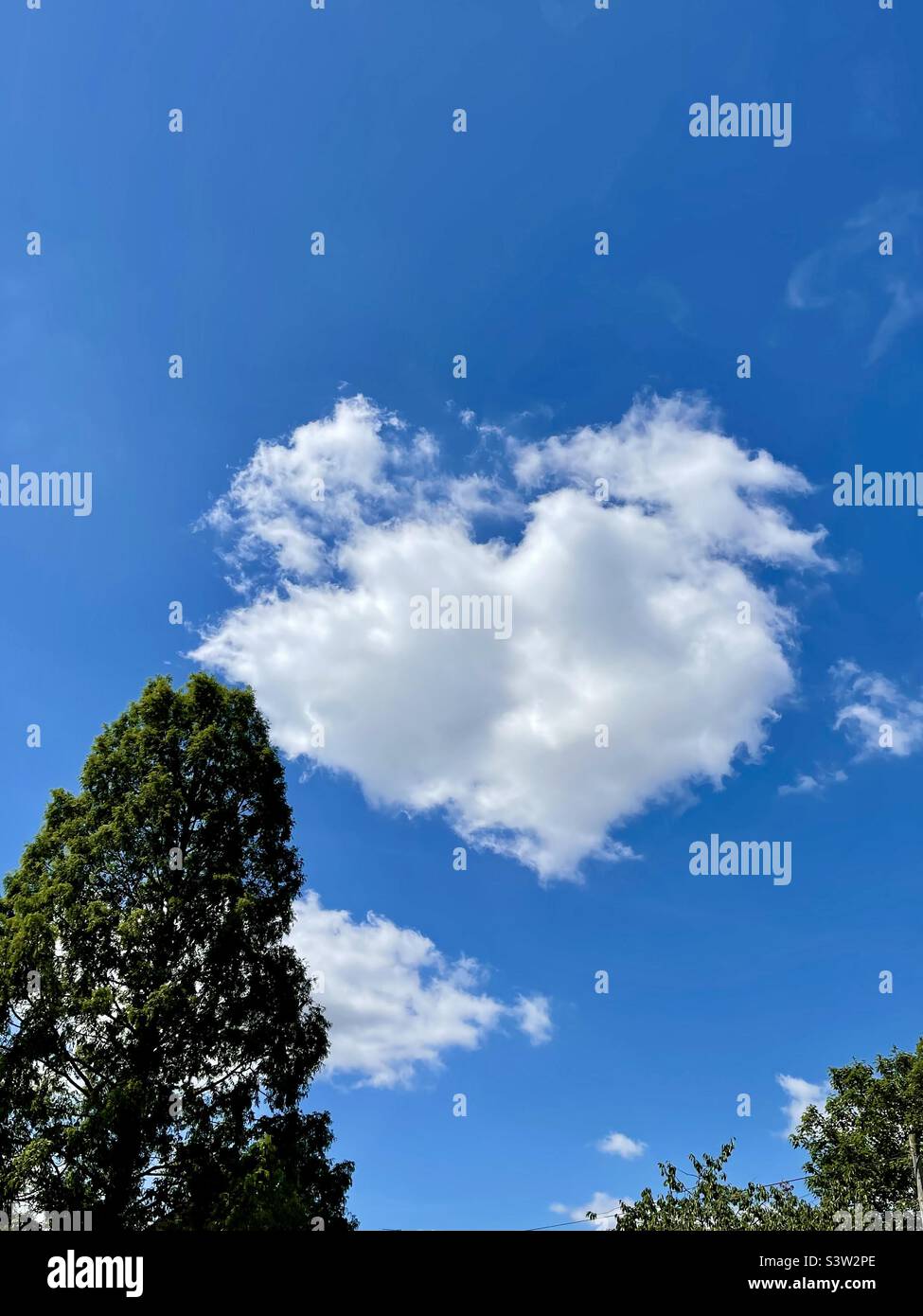 Herzförmige Wolke an einem sonnigen Tag Stockfoto