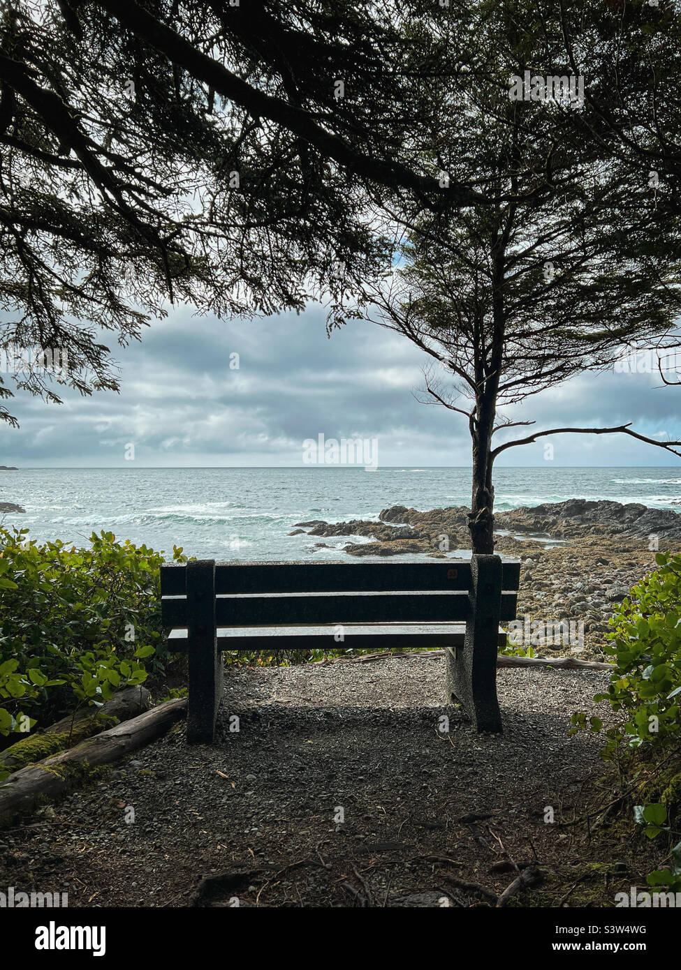 Parkbank mit Blick Stockfoto