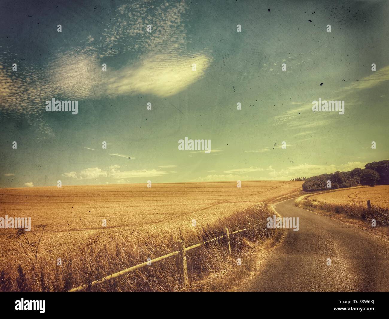 Landstraße und Weizenfeld - Smartphone-aufgenommenes Stockfoto