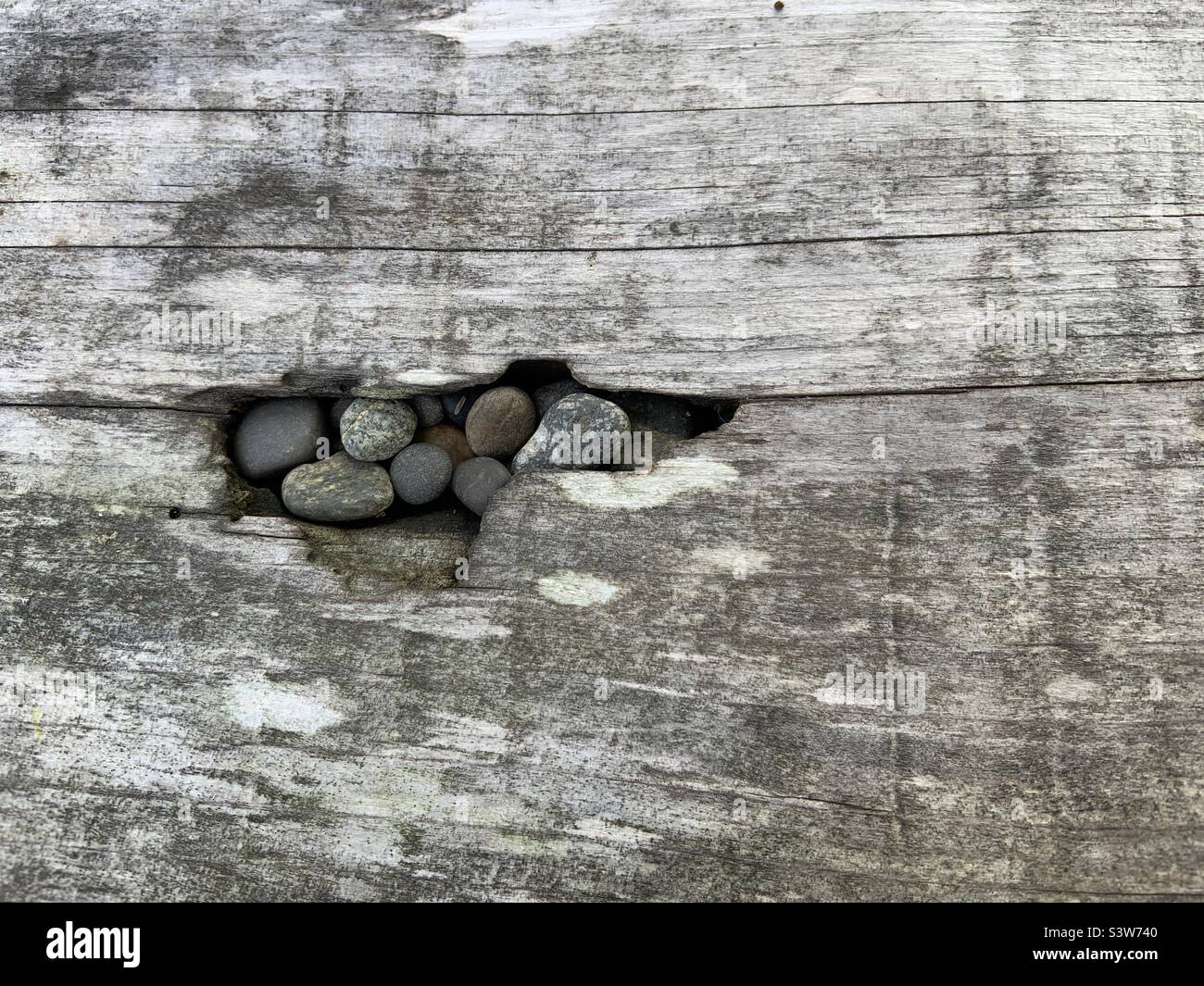 Kieselsteine in Holz Stockfoto