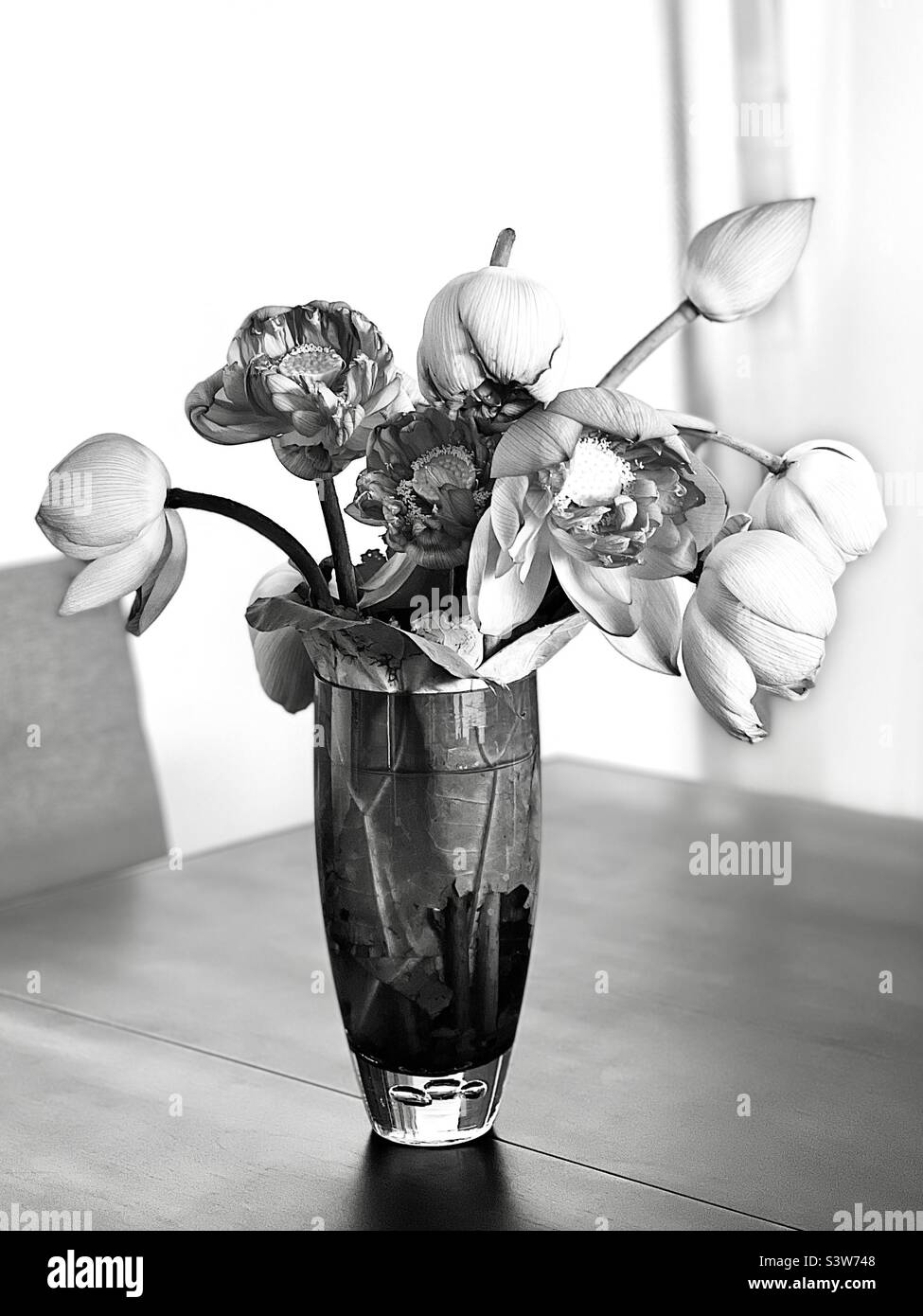 Schwarz-Weiß-Foto von Lotusblumen in Glasvase Stockfoto