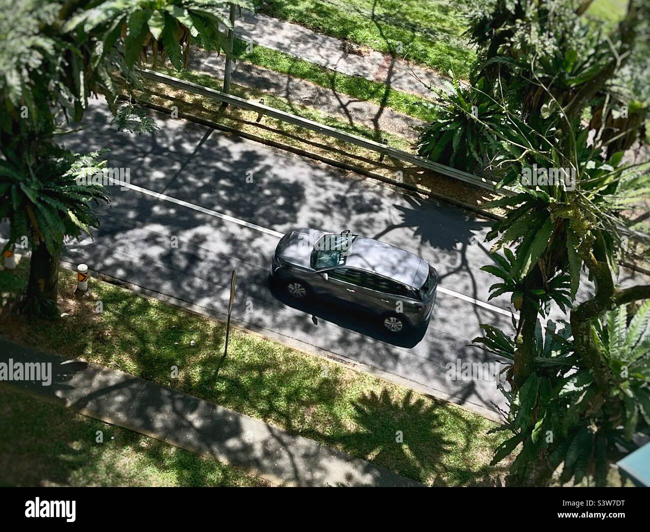 Bäume werfen Schatten auf die Straße und reduzieren die direkte Sonneneinstrahlung des Autos. Stockfoto